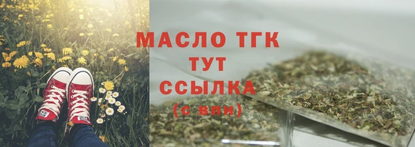 мдпв Новозыбков