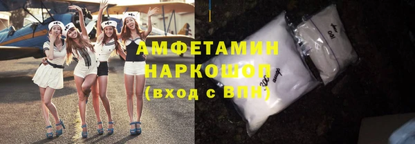 мдпв Новозыбков