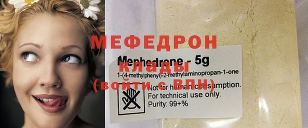 мдпв Новозыбков
