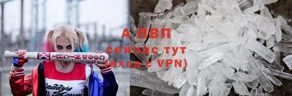 таблы Новодвинск
