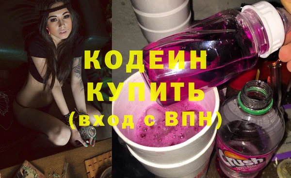 мдпв Новозыбков