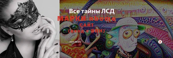 мдпв Новозыбков