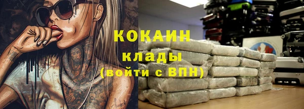 мдпв Новозыбков