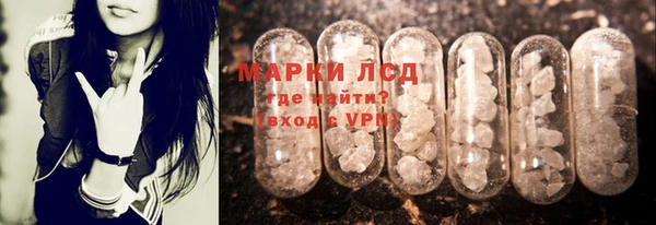 мдпв Новозыбков