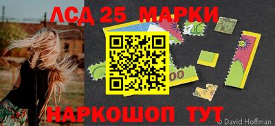 МДПВ Гусев