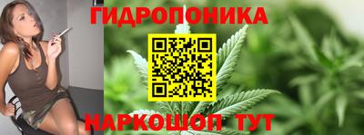 МДПВ Гусев