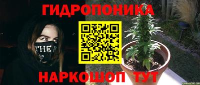 МДПВ Гусев