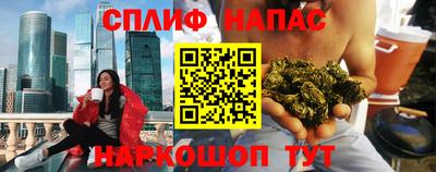МДПВ Гусев
