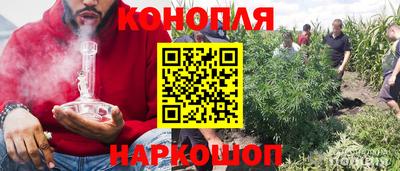 эйфоретик Аргун