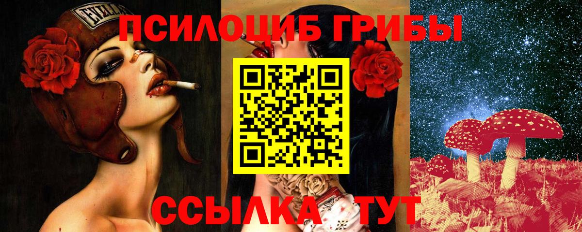 Галлюциногенные грибы GOLDEN TEACHER Котельники