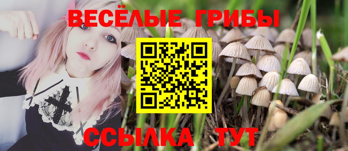 Котельники  Галлюциногенные грибы Psilocybine cubensis  Вход с VPN 